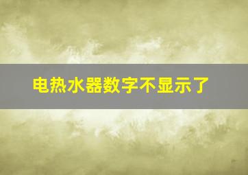 电热水器数字不显示了