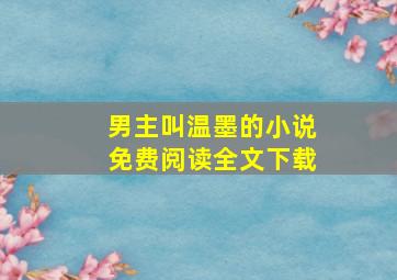 男主叫温墨的小说免费阅读全文下载