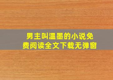 男主叫温墨的小说免费阅读全文下载无弹窗