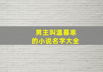 男主叫温暮寒的小说名字大全