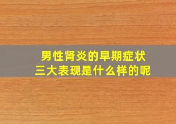 男性肾炎的早期症状三大表现是什么样的呢