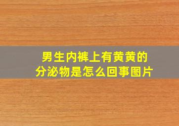 男生内裤上有黄黄的分泌物是怎么回事图片