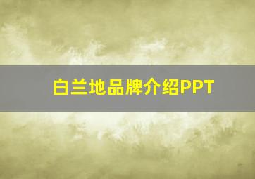 白兰地品牌介绍PPT