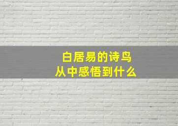 白居易的诗鸟从中感悟到什么