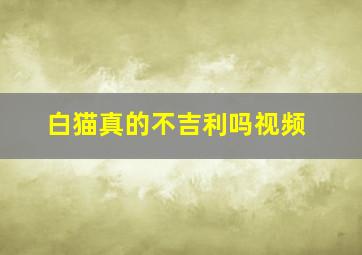 白猫真的不吉利吗视频