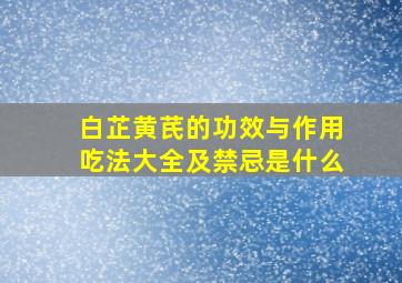 白芷黄芪的功效与作用吃法大全及禁忌是什么