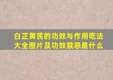 白芷黄芪的功效与作用吃法大全图片及功效禁忌是什么