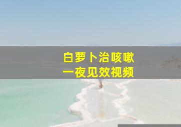 白萝卜治咳嗽一夜见效视频