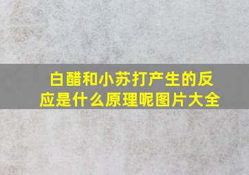 白醋和小苏打产生的反应是什么原理呢图片大全