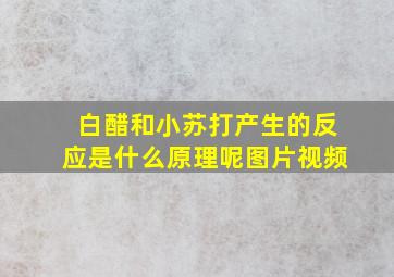 白醋和小苏打产生的反应是什么原理呢图片视频