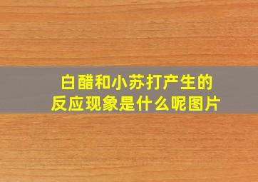 白醋和小苏打产生的反应现象是什么呢图片