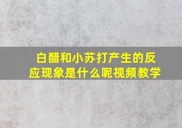 白醋和小苏打产生的反应现象是什么呢视频教学