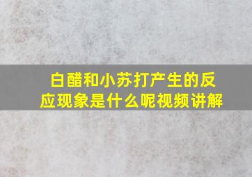 白醋和小苏打产生的反应现象是什么呢视频讲解