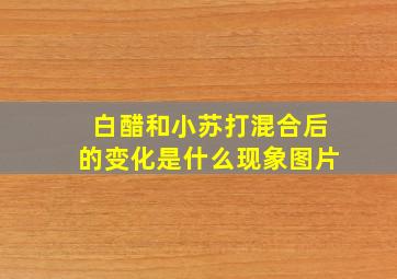 白醋和小苏打混合后的变化是什么现象图片