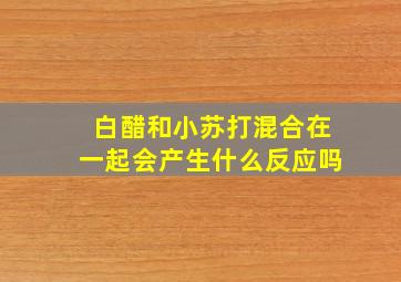 白醋和小苏打混合在一起会产生什么反应吗