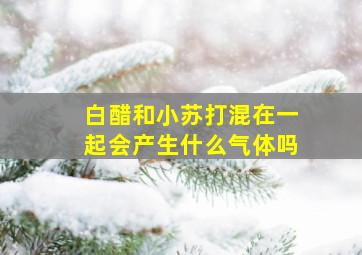 白醋和小苏打混在一起会产生什么气体吗