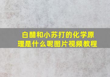 白醋和小苏打的化学原理是什么呢图片视频教程