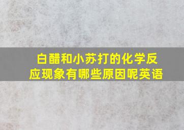 白醋和小苏打的化学反应现象有哪些原因呢英语