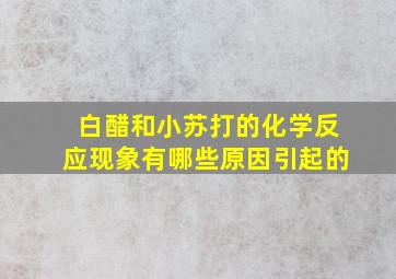 白醋和小苏打的化学反应现象有哪些原因引起的