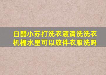 白醋小苏打洗衣液清洗洗衣机桶水里可以放件衣服洗吗