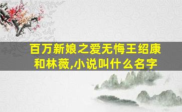 百万新娘之爱无悔王绍康和林薇,小说叫什么名字