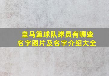 皇马篮球队球员有哪些名字图片及名字介绍大全