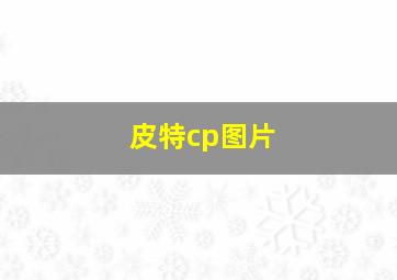 皮特cp图片