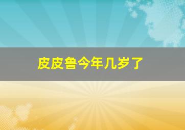 皮皮鲁今年几岁了