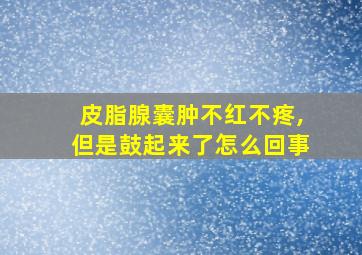 皮脂腺囊肿不红不疼,但是鼓起来了怎么回事