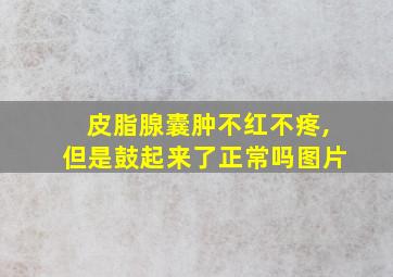 皮脂腺囊肿不红不疼,但是鼓起来了正常吗图片