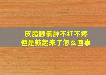 皮脂腺囊肿不红不疼但是鼓起来了怎么回事