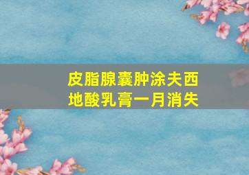 皮脂腺囊肿涂夫西地酸乳膏一月消失