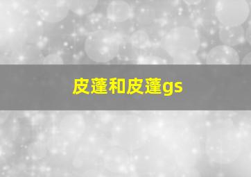 皮蓬和皮蓬gs