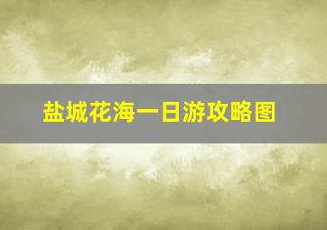 盐城花海一日游攻略图