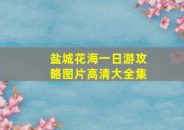 盐城花海一日游攻略图片高清大全集