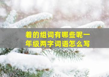 着的组词有哪些呢一年级两字词语怎么写