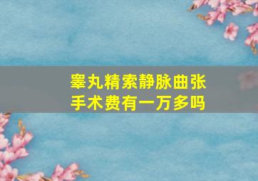 睾丸精索静脉曲张手术费有一万多吗