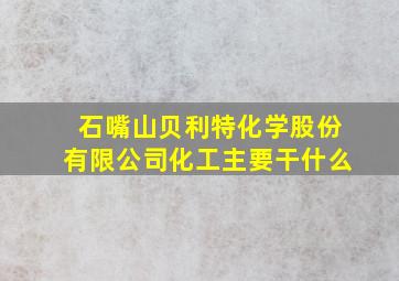 石嘴山贝利特化学股份有限公司化工主要干什么