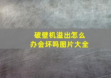 破壁机溢出怎么办会坏吗图片大全