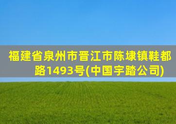 福建省泉州市晋江市陈埭镇鞋都路1493号(中国宇踏公司)