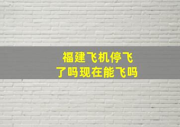 福建飞机停飞了吗现在能飞吗