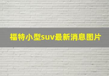 福特小型suv最新消息图片