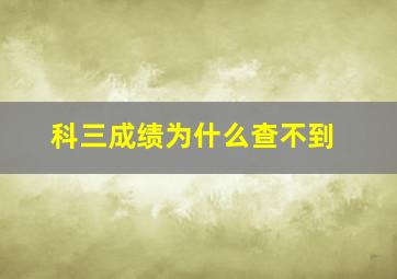 科三成绩为什么查不到