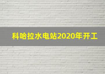 科哈拉水电站2020年开工