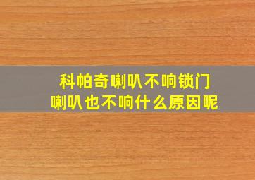 科帕奇喇叭不响锁门喇叭也不响什么原因呢