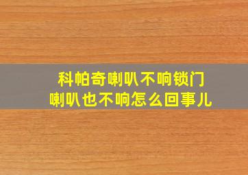 科帕奇喇叭不响锁门喇叭也不响怎么回事儿