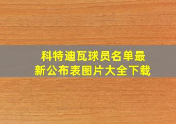 科特迪瓦球员名单最新公布表图片大全下载