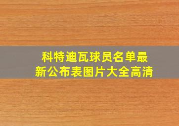 科特迪瓦球员名单最新公布表图片大全高清