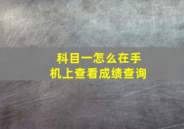 科目一怎么在手机上查看成绩查询