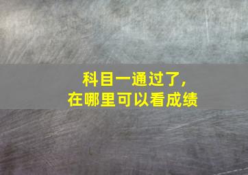 科目一通过了,在哪里可以看成绩